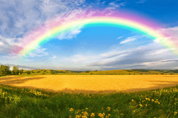 什么是光源的光譜特性？它與顏色的形成有什么關(guān)系？ 